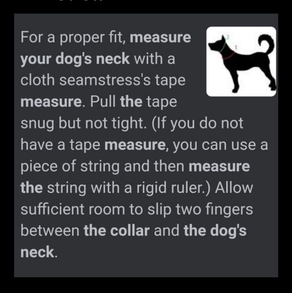 Dog Collar Green Iridescent Stones Faux Black Pate - Picture 14 of 14